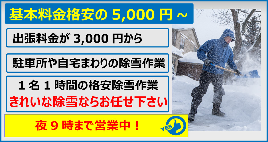 格安除雪作業、即日対応!1名1時間3,500円から